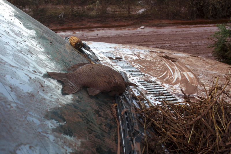 Illustration for article titled Hungarian toxic sludge kills 4, injures at least 120 — and it may be headed for the Danube